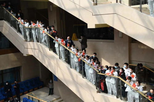 吉林英雄 吉林援鄂醫(yī)療隊凱旋攝影作品選 咨詢策劃服務